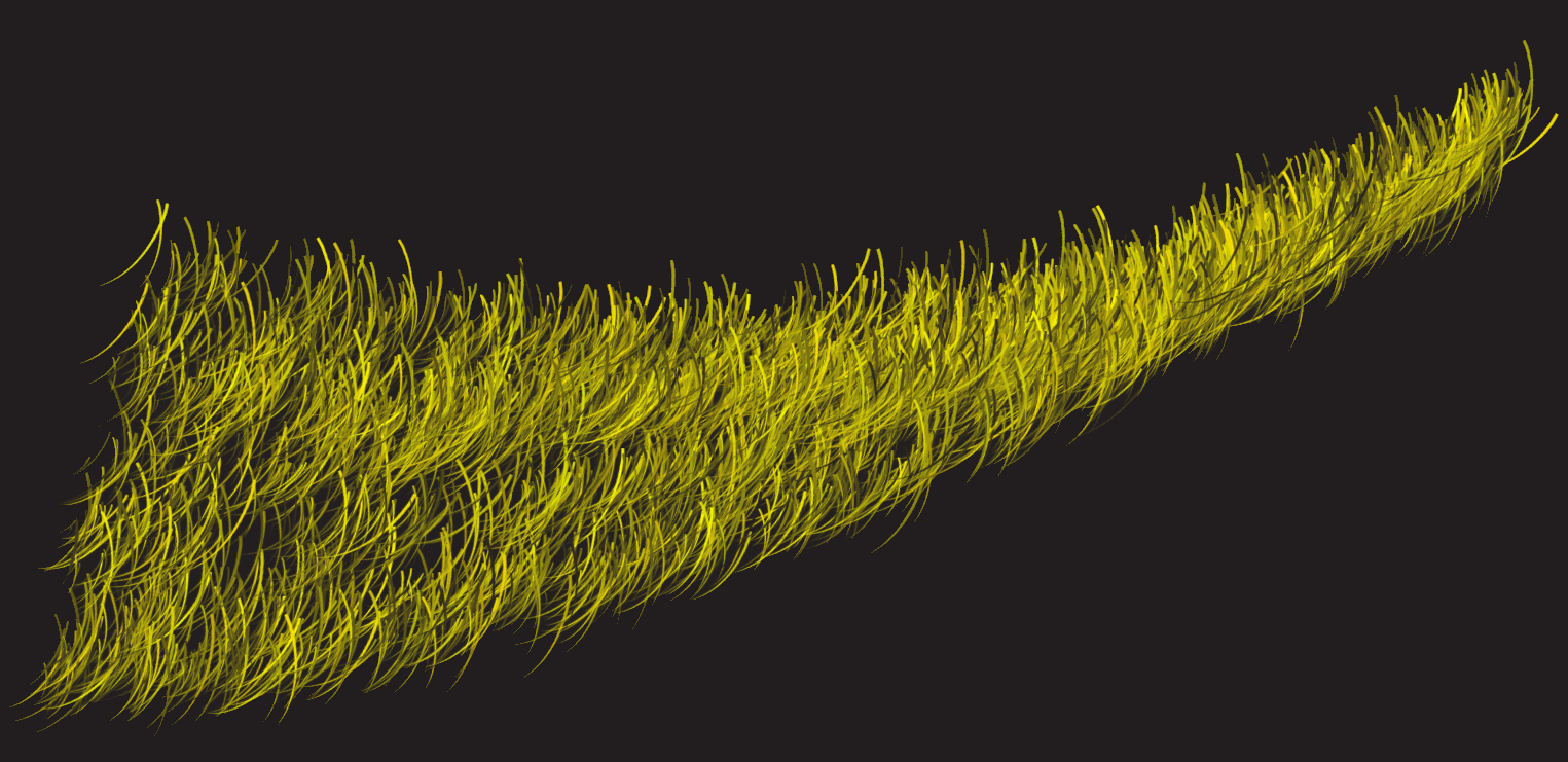 bottom brush